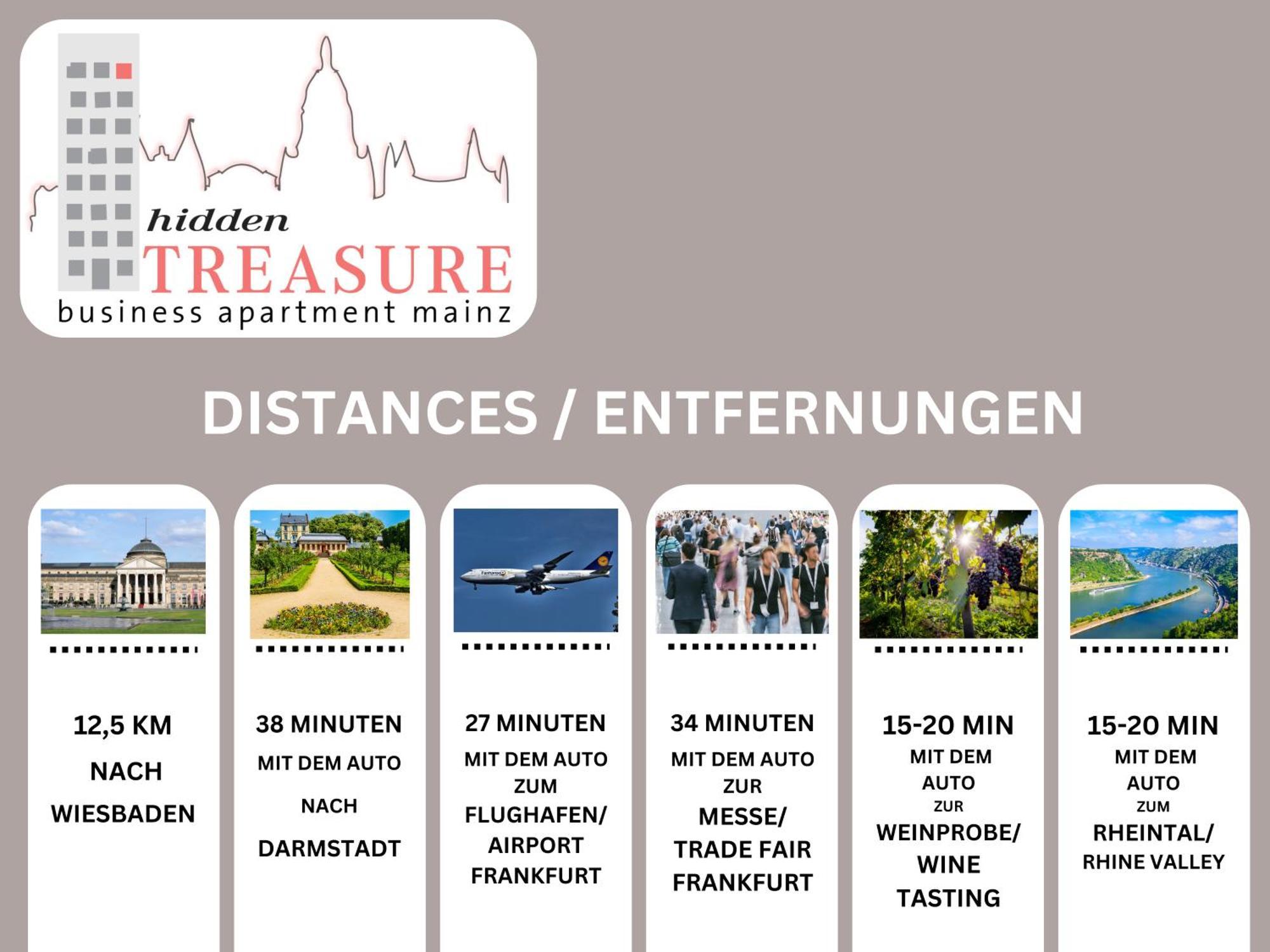 Hidden Treasure Business Apartment Mainz - Fantastic Rhine View In Center Of Mainz Old Town Exterior foto